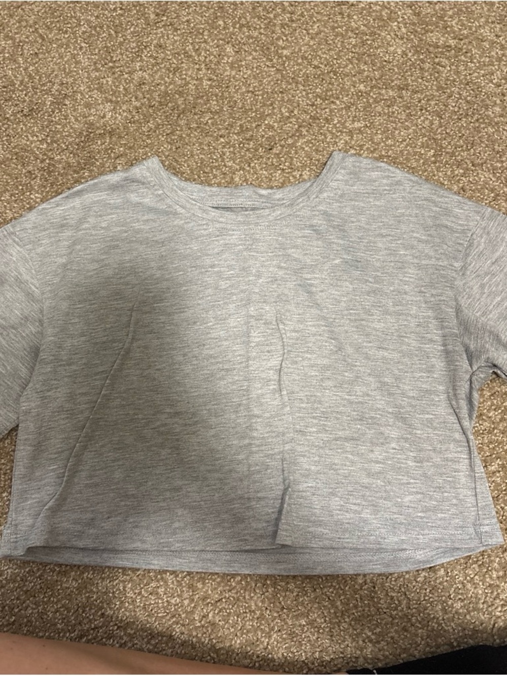 Classic Women's Crewneck Crop Top - Light Gray